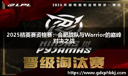 2025精英赛资格赛：合肥战队与Warrior的巅峰对决之战